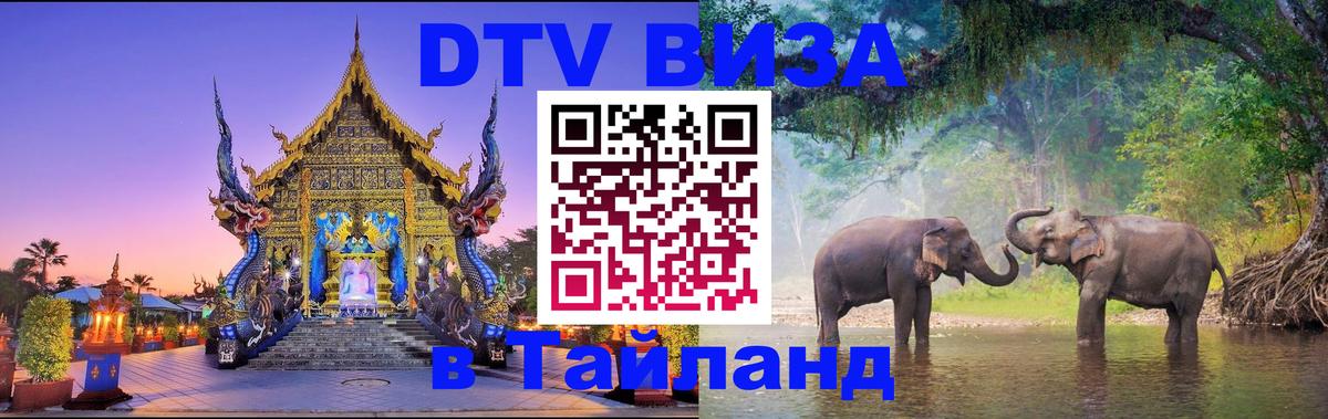 Оформление DTV визы под ключ: стоимость и тарифы, только загранпаспорт - 